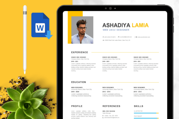 Download Professional Resume/CV Template Graphic - Premium Resources